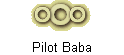 Pilot Baba's Full Autobiography
